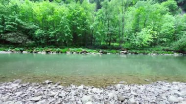 Yağmur sırasında bir dağ nehrinde su akar..