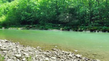 Dağ nehrinde su akıyor..