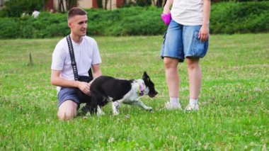 LVIV, UKRAINE - 10 Temmuz 2024: Border Collie ve Fransız Bulldog köpekleri sahipleriyle parktaki çimlerin üzerinde oynuyorlar..