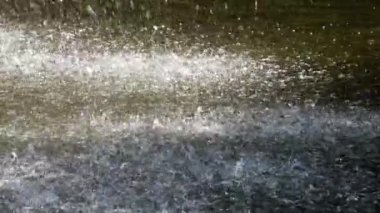 Su yüzeyine düşen su damlaları. Yavaş çekim.