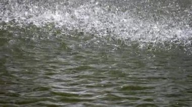 Su yüzeyine düşen su damlaları. Yavaş çekim.