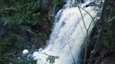 Hilton Şelalesi ve Hilton Falls Koruma Alanındaki eski bir değirmenin kalıntıları, Milton, Toronto, Ontario, Kanada 'nın batısı..