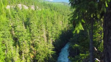 Dağ nehri. Whistler, Sea to Sky Highway, British Columbia, Kanada.