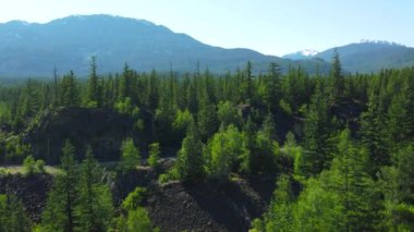 Squamish, British Columbia, Kanada 'daki dağların ve kozalaklı ormanların panoramik manzarası.