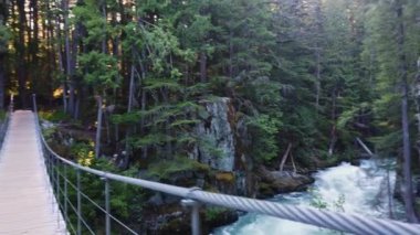 Whistler 'da, Cheakamus Nehri' nden geçmişteki tren harabelerine akan suların üzerindeki asma köprü boyunca, ormandaki terk edilmiş harabelere doğru inanılmaz bir yürüyüş yolu var. Whistler, British Columbia, Kanada.