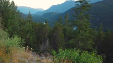Whistler, British Columbia, Kanada 'daki Sky Trail' e doğru bir yürüyüş. Çam ormanlarıyla kaplı dağ yamaçları ve karla kaplı dağ zirveleri.