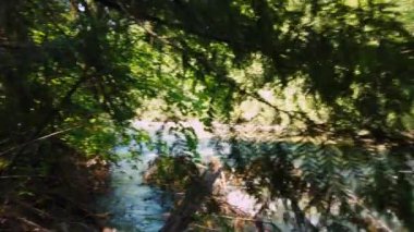 Cheakamus Nehri, Whistler, British Columbia, Kanada.