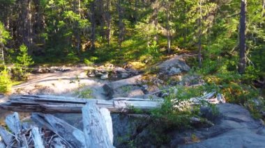 Cheakamus nehri, çam ormanı ve Whistler, British Columbia, Kanada 'daki uçurumlarla dolu görkemli bir manzara..