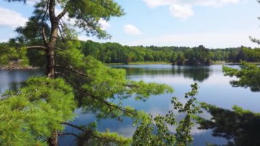 Huron Gölü ve Kupa ve Gövde Doğa Koruma Alanı, Ontario, Kanada.