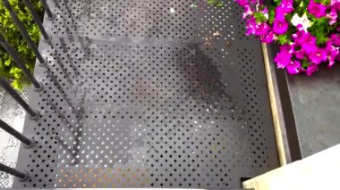 Evin duvarlarında metal merdivenler ve petunya çiçekleri var..