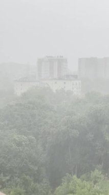 Kasırga sırasında bir ormanın ve şehir evlerinin arka planına yağan yağmur. Dikey video.