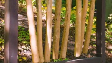 Müzik aleti dendrofon. Çubuklar kayın, meşe, ıhlamur, huş ağacı, ladin, çam, akçaağaç ve külden yapılır. Ses sopalara tahta bir çekiçle vurularak çıkıyor..