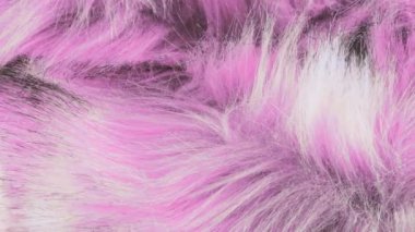 Magenta pembe renkli sahte kürk, uzun bir yığın, tilki kürkü taklidi, dönen vitrinde kutup tilkisi. Moda, tasarım, doğa ve hayvan koruma teması üzerine arka plan. Üst görünüm.