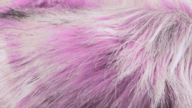 Magenta pembe renkli sahte kürk, uzun bir yığın, tilki kürkü taklidi, dönen vitrinde kutup tilkisi. Moda, tasarım, doğa ve hayvan koruma teması üzerine arka plan. Yakın çekim görünümü.