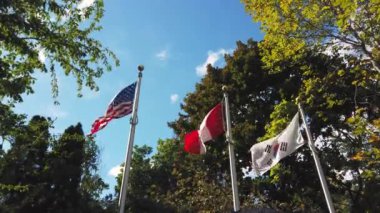 Kanada, Amerika Birleşik Devletleri ve Kore Cumhuriyeti 'nin ulusal bayrakları, beyaz bulutlu açık mavi bir gökyüzüne karşı rüzgarda dalgalanıyor. Windsor ve Essex ülkesi Kore gazileri anma töreni.