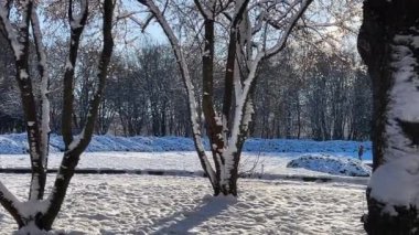 Parktaki ağaçlar kış boyunca güneş ışınlarıyla karla kaplıydı..