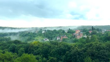 Yağmur damlaları ormandaki ağaçların arka planına ve sise düşer..