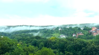 Yağmur damlaları ormandaki ağaçların arka planına ve sise düşer..