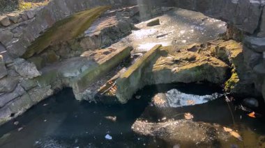 Kışın güneş ışınlarında, taş bir köprünün altında donmuş bir akarsu..