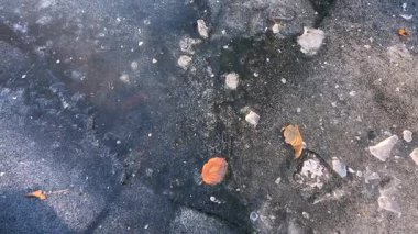 Kışın donmuş bir göletin buz yüzeyi.