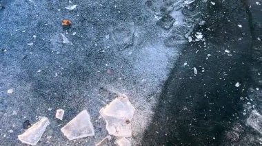 Kışın donmuş bir göletin buz yüzeyi.