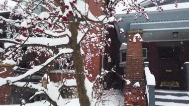 Toronto, Ontario, Kanada 'da karlı bir kış. Kar fırtınası sırasında verandası ve sütunları karla kaplı güzel gri-mavi tuğla bir evin bahçesinde kırmızı böğürtlenli Rowan ağacı..