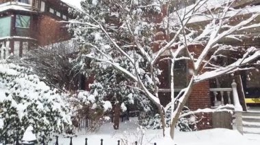 Toronto, Ontario, Kanada 'da karlı bir kış. Kar yağışı sırasında iki katlı binaların bulunduğu yerleşim alanındaki kar yığınları arasında dar bir patikada yürümek. Bahçeler, demirden çitler, karla kaplı özel evler..