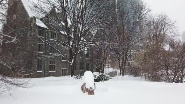 Toronto, Ontario, Kanada 'da karlı bir kış. Eski dört katlı gri taş bir bina, yüksek çıplak ağaçlar ve kar yağarken modern gökdelenler..