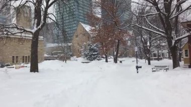 Toronto, Ontario, Kanada 'da karlı bir kış. Eski binaları ve modern gökdelenleri gören küçük bir parkta karlı bir yolda yürüyorum..