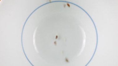 Salata tohumu karışımı beyaz bir seramik kaseye dökülür. Susam, keten, karanfil, ayçiçeği ve kabak çekirdeği. Üst Manzara. Yavaş çekim.