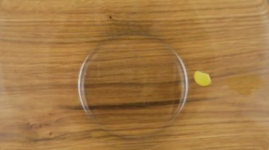 Kabuk şeklindeki makarna, cam şeffaf bir kaseye, tahta bir meşe tahtasına dökülür. Üst Manzara. Yavaş çekim.