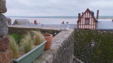 # Mont-Saint-Michel Manastırı 'nın duvarlarından # # Yarı ahşap bir evin dış cephesinde # # Seramikli çatı ve martılar rüzgarlı bir bahar gününde #.