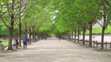 PARIS, FRANCE - 21 Nisan 2025 Lüksemburg Bahçeleri 'nde açık bir bahar gününde genç yeşil ağaçların olduğu gölgeli bir sokak.