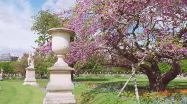 Baharda Tuileries Bahçesi 'nde güzel heykeller, çiçek açan ağaçlar, çiçek tarhları ve Louvre manzarası. Tuileries Park, Paris, Fransa 'da yürüyen ve dinlenen insanlar.