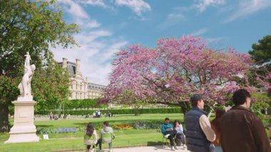 PARIS, FRANCE - 21 Nisan 2025 Baharda Tuileries Garden 'da çiçek açan ağaçlar, çiçek tarlaları ve Louvre manzarası. İnsanlar Tuileries Parkı 'nda yürüyor ve dinleniyor..