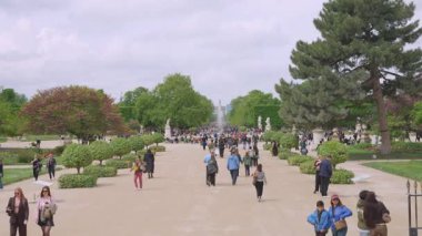 PARİS, FRANCE - 21 NİSAN 2025 Tuileries Garden 'ın merkez sokağı ve 1. bölgede güneşli bir ilkbahar gününde yürüyen insanların görüntüsü.