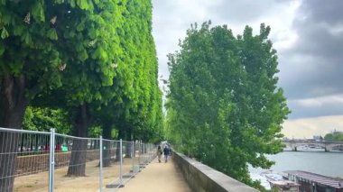 Fransa 'nın başkenti Paris' te baharda Seine Nehri seti boyunca yemyeşil yapraklı güzel budanmış uzun kestane ağaçları..