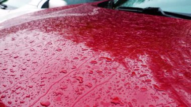 Yağmur sırasında kırmızı metal bir arabanın kaputuna su damlaları düşer..
