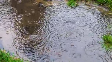 Yağmur sırasında yağmur birikintisi. Düşen yağmur damlalarından dolayı suyun üzerinde daireler çizer.