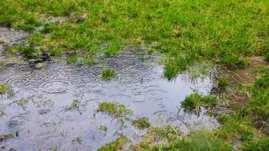 Yağmur sırasında yağmur birikintisi. Düşen yağmur damlalarından dolayı suyun üzerinde daireler çizer.