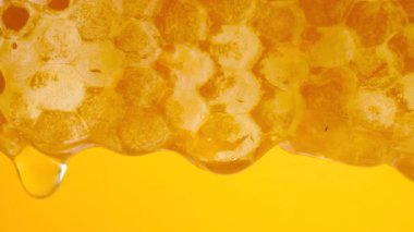 Sarı arka planda bal peteklerinden altın bal damlıyor. Balmumu bal peteklerine yakın çekim. Makro atış. Sağlıklı yeme kavramı.