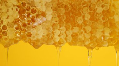 Sarı arka planda bal peteklerinden altın bal damlıyor. Balmumu bal peteklerine yakın çekim. Makro atış. Sağlıklı yeme kavramı.