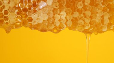 Sarı arka planda bal peteklerinden altın bal damlıyor. Balmumu bal peteklerine yakın çekim. Makro atış. Sağlıklı yeme kavramı.