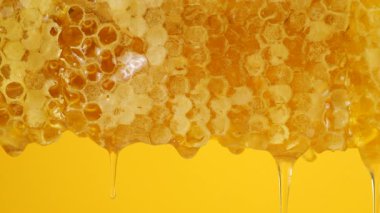 Sarı arka planda bal peteğinden altın bal damlıyor. Balmumu bal peteklerine yakın çekim. Makro atış. Sağlıklı yeme kavramı.
