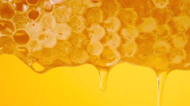 Sarı arka planda bal peteklerinden altın bal damlıyor. Balmumu bal peteklerine yakın çekim. Makro atış. Sağlıklı yeme kavramı.