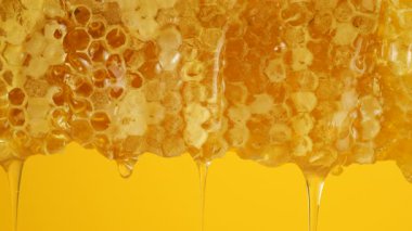 Sarı arka planda bal peteklerinden altın bal damlıyor. Balmumu bal peteklerine yakın çekim. Makro atış. Sağlıklı yeme kavramı.