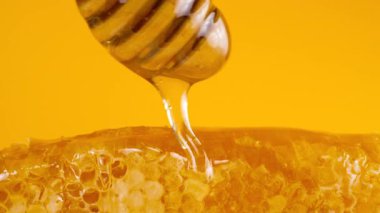 Altın bal akıntıları kaşık Milli sarı arka planda bal peteklerinin üzerine damlıyor. Balmumu bal peteklerine yakın çekim. Makro atış. Sağlıklı yeme kavramı.