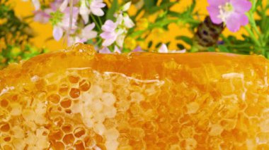 Altın bal akıntıları damlar ve bal peteklerinin üzerine yazlık kır çiçeklerinin sarı arka planına dökülür. Balmumu bal peteklerine yakın çekim. Makro atış. Sağlıklı yeme kavramı.
