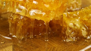 Altın bal, bal peteklerinden akıyor. Balmumu bal peteklerine yakın çekim. Makro atış. Sağlıklı yeme kavramı.