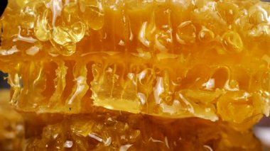 Altın bal, bal peteklerinden akıyor. Balmumu bal peteklerine yakın çekim. Makro atış. Sağlıklı yeme kavramı.
